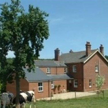 Mill Farm Villa Exeter Exterior photo